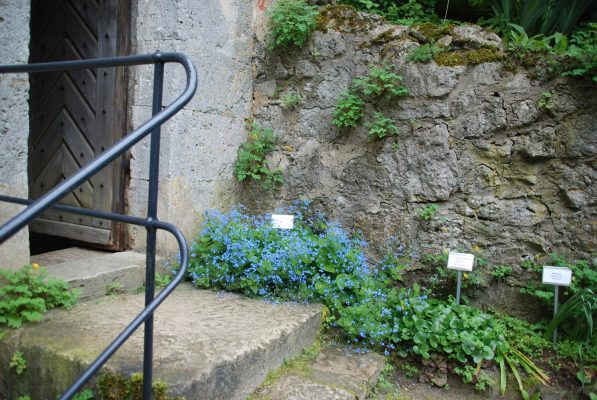 Ansicht Preisträger