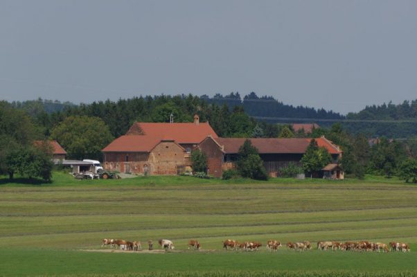 Ansicht Preisträger