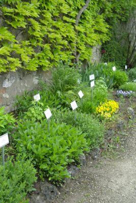 Ansicht Preisträger